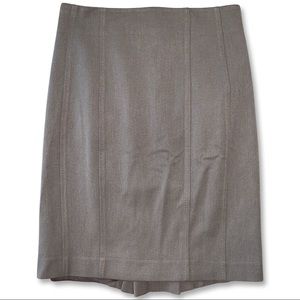 New Express Pencil Skirt